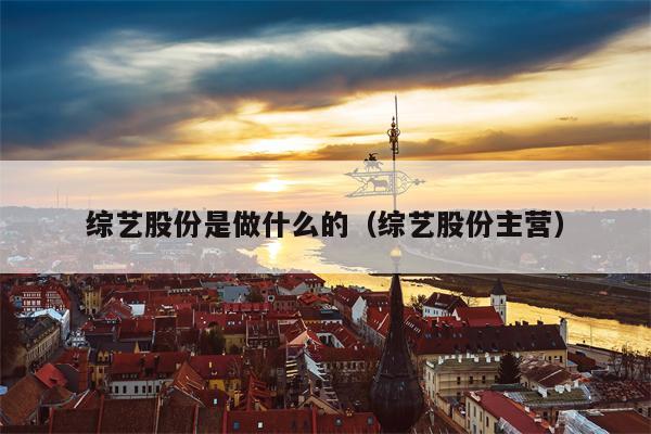 综艺股份是做什么的（综艺股份主营）