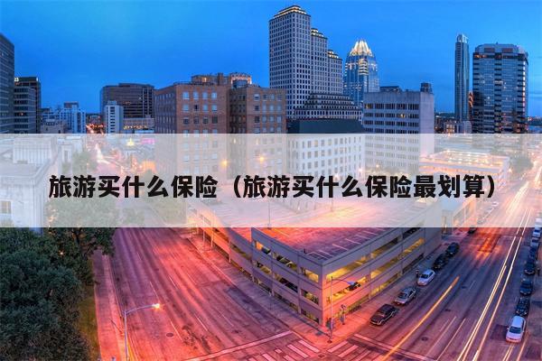 旅游买什么保险（旅游买什么保险最划算）