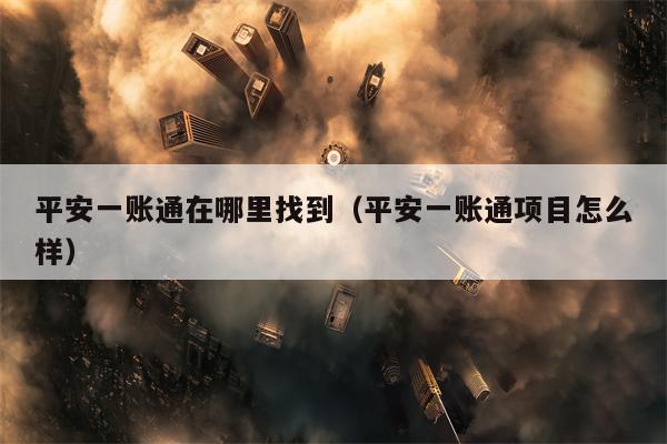平安一账通在哪里找到（平安一账通项目怎么样）