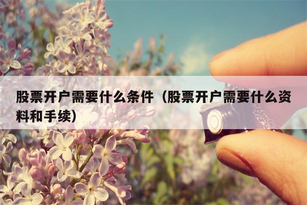 股票开户需要什么条件（股票开户需要什么资料和手续）