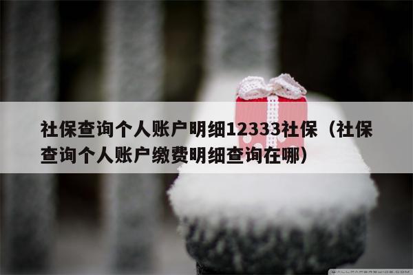 社保查询个人账户明细12333社保（社保查询个人账户缴费明细查询在哪）