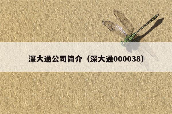 深大通公司简介（深大通000038）