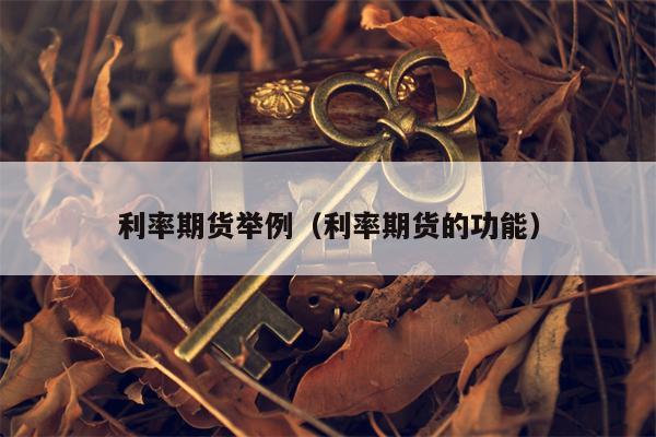 利率期货举例（利率期货的功能）