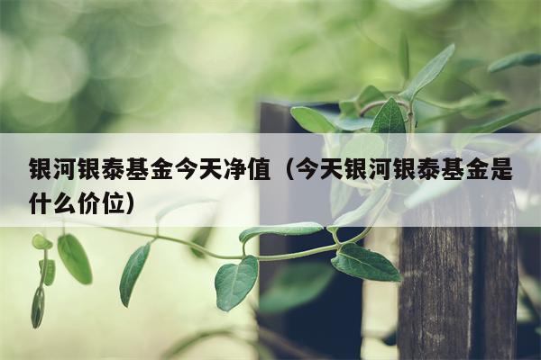 银河银泰基金今天净值（今天银河银泰基金是什么价位）