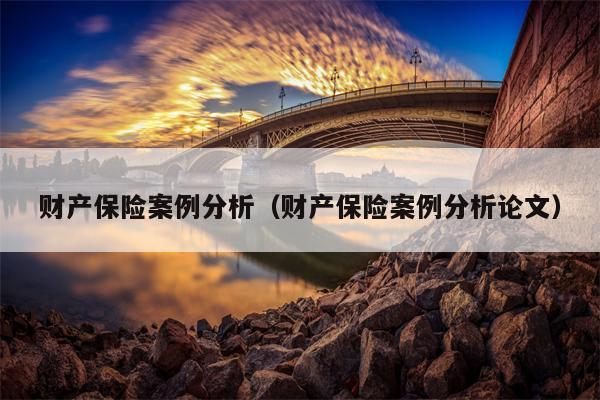 财产保险案例分析（财产保险案例分析论文）