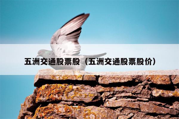 五洲交通股票股（五洲交通股票股价）