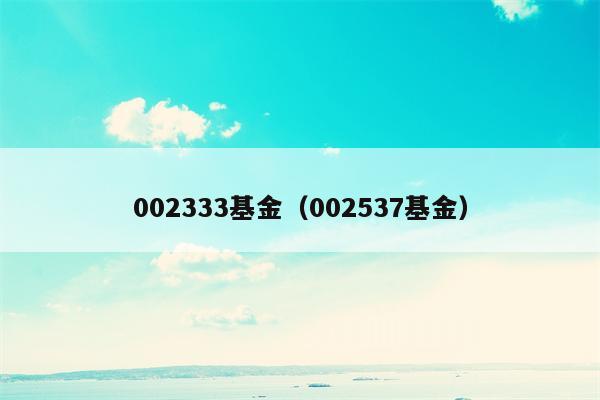 002333基金（002537基金）