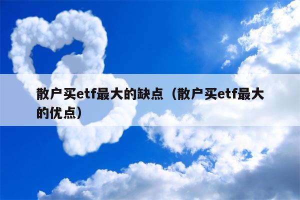 散户买etf最大的缺点（散户买etf最大的优点）