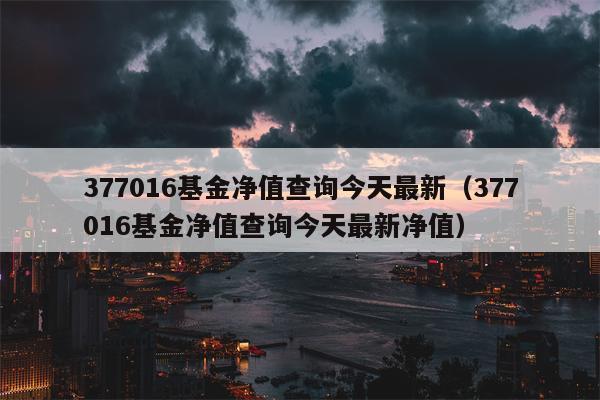 377016基金净值查询今天最新（377016基金净值查询今天最新净值）
