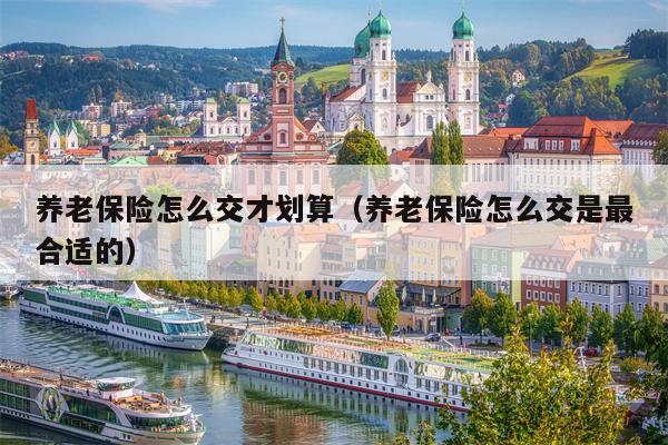 养老保险怎么交才划算（养老保险怎么交是最合适的）