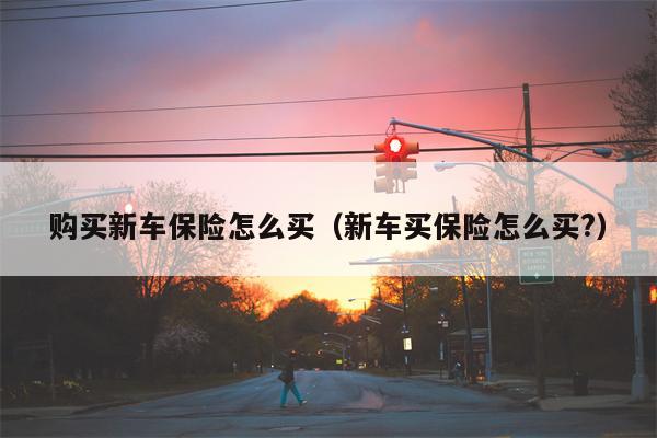 购买新车保险怎么买（新车买保险怎么买?）