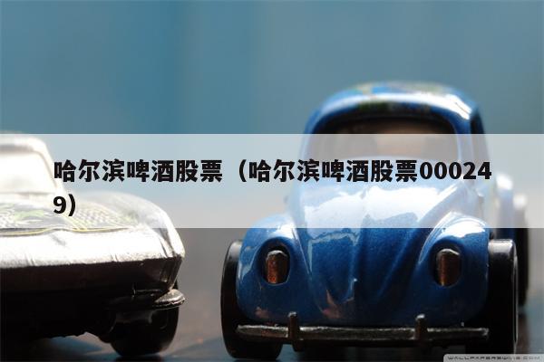 哈尔滨啤酒股票（哈尔滨啤酒股票000249）