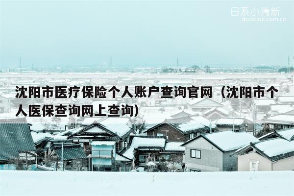 沈阳市医疗保险个人账户查询官网（沈阳市个人医保查询网上查询）
