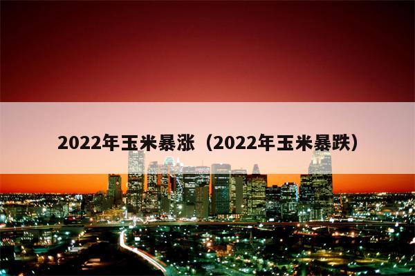 2022年玉米暴涨（2022年玉米暴跌）