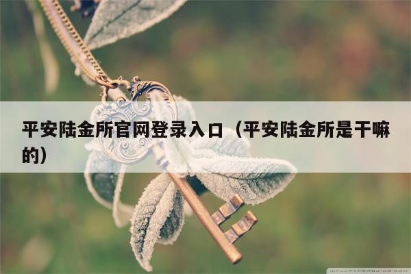 平安陆金所官网登录入口（平安陆金所是干嘛的）