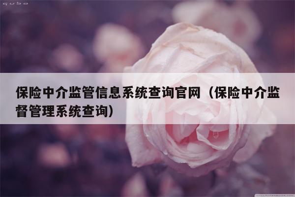 保险中介监管信息系统查询官网（保险中介监督管理系统查询）