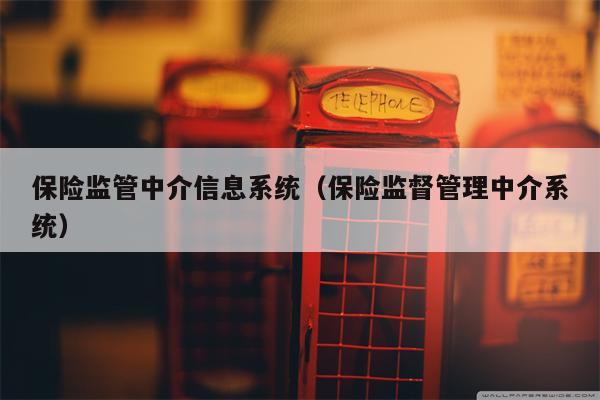 保险监管中介信息系统（保险监督管理中介系统）