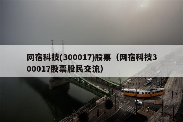 网宿科技(300017)股票（网宿科技300017股票股民交流）