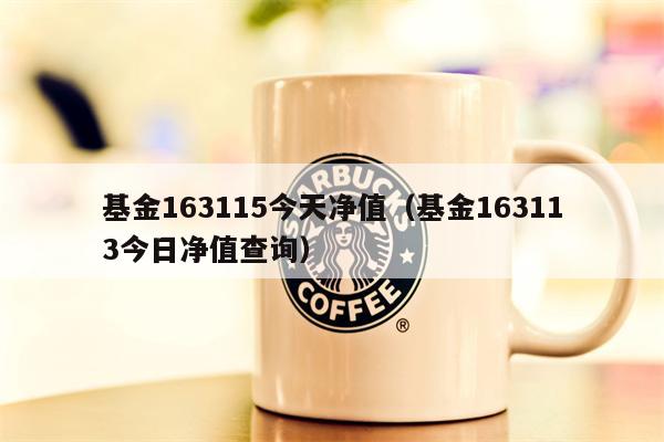 基金163115今天净值（基金163113今日净值查询）