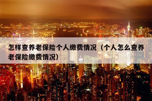 怎样查养老保险个人缴费情况（个人怎么查养老保险缴费情况）