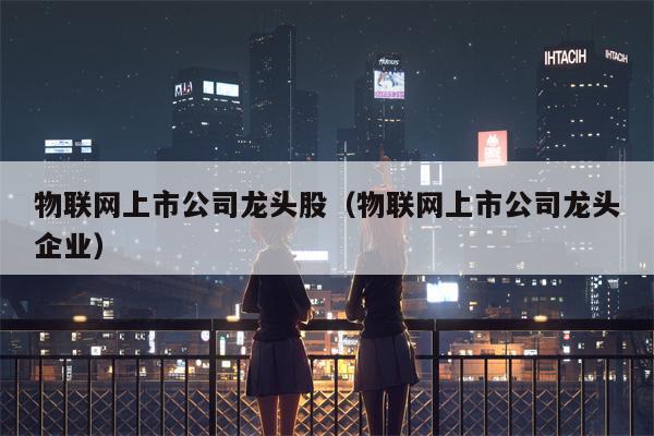 物联网上市公司龙头股（物联网上市公司龙头企业）