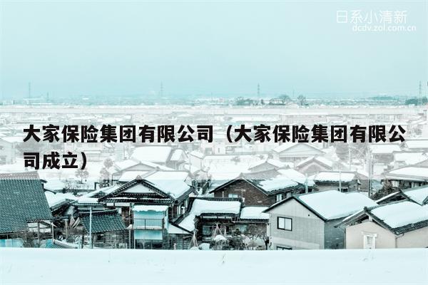 大家保险集团有限公司（大家保险集团有限公司成立）