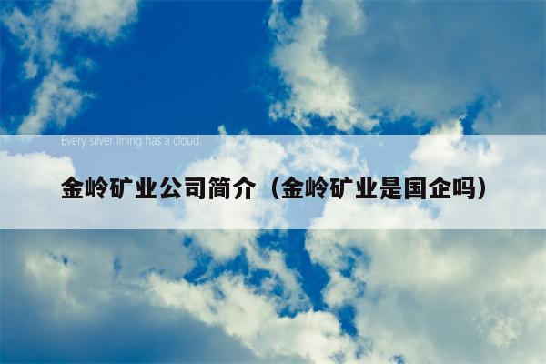 金岭矿业公司简介（金岭矿业是国企吗）