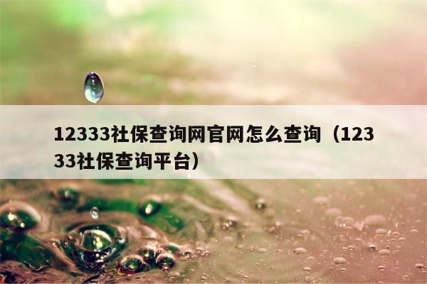 12333社保查询网官网怎么查询（12333社保查询平台）