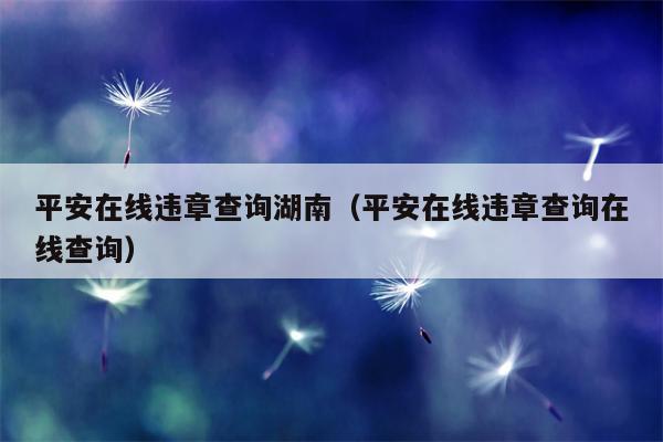 平安在线违章查询湖南（平安在线违章查询在线查询）