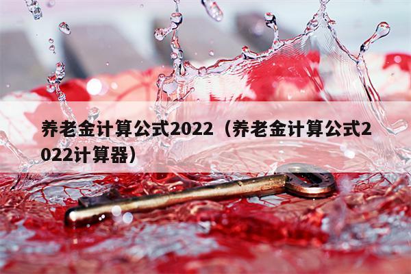 养老金计算公式2022（养老金计算公式2022计算器）