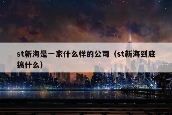 st新海是一家什么样的公司（st新海到底搞什么）
