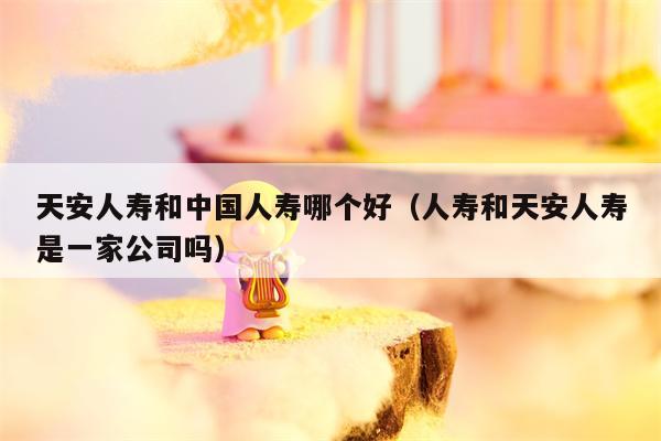 天安人寿和中国人寿哪个好（人寿和天安人寿是一家公司吗）