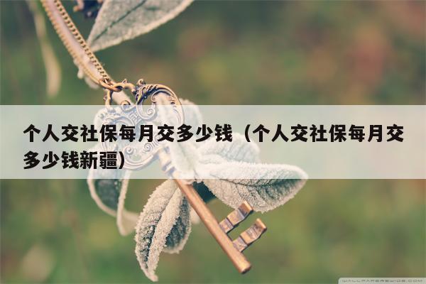 个人交社保每月交多少钱（个人交社保每月交多少钱新疆）
