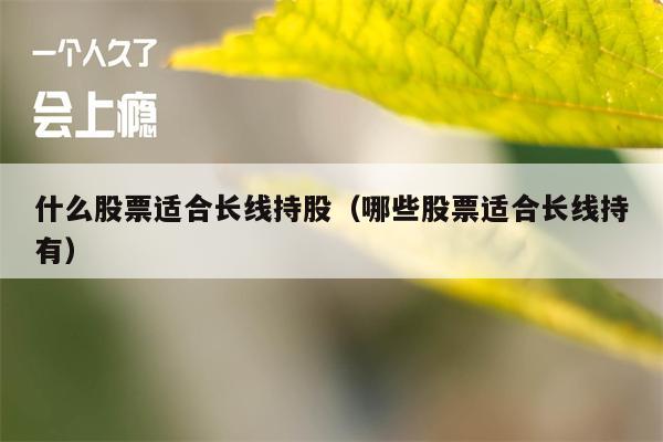 什么股票适合长线持股（哪些股票适合长线持有）