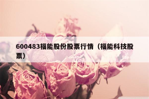 600483福能股份股票行情（福能科技股票）