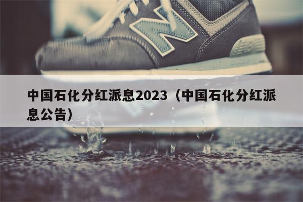 中国石化分红派息2023（中国石化分红派息公告）
