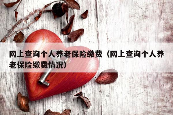 网上查询个人养老保险缴费（网上查询个人养老保险缴费情况）