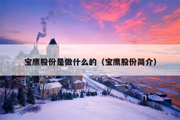 宝鹰股份是做什么的（宝鹰股份简介）