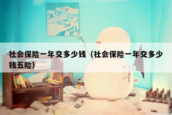社会保险一年交多少钱（社会保险一年交多少钱五险）