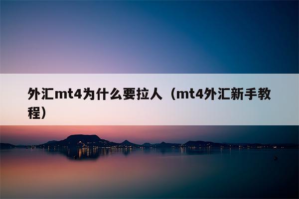 外汇mt4为什么要拉人（mt4外汇新手教程）