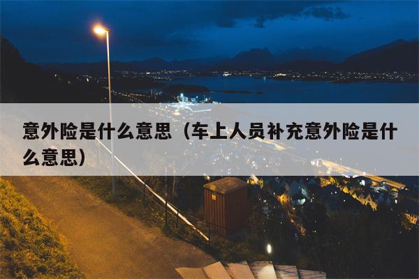 意外险是什么意思（车上人员补充意外险是什么意思）