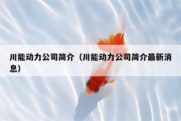 川能动力公司简介（川能动力公司简介最新消息）