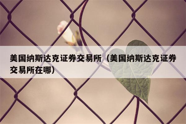 美国纳斯达克证券交易所（美国纳斯达克证券交易所在哪）