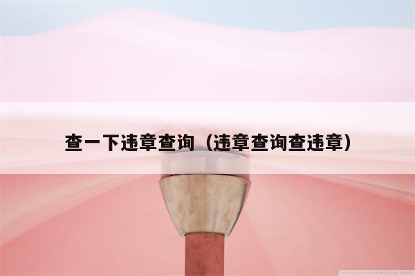 查一下违章查询（违章查询查违章）