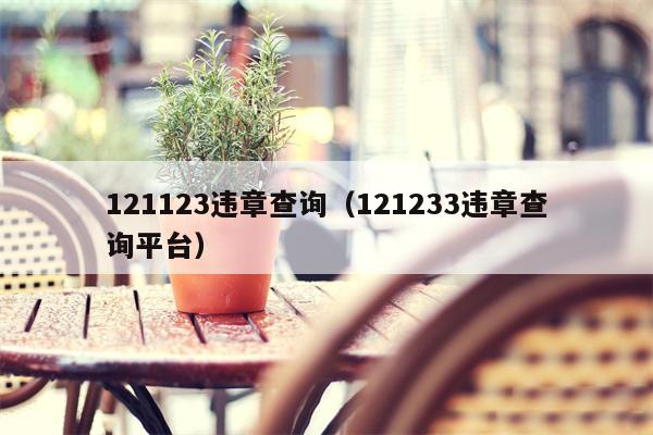 121123违章查询（121233违章查询平台）