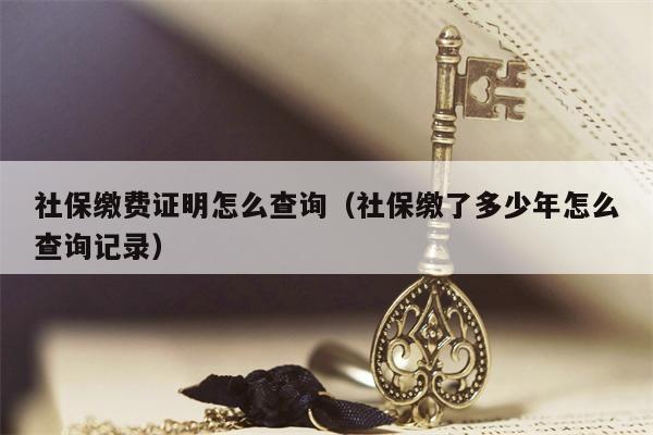 社保缴费证明怎么查询（社保缴了多少年怎么查询记录）