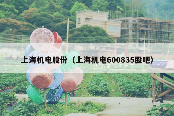 上海机电股份（上海机电600835股吧）