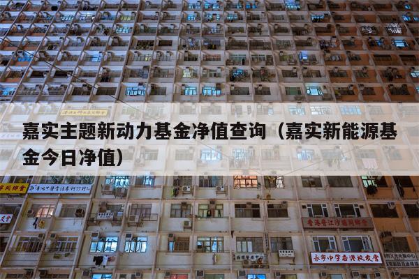 嘉实主题新动力基金净值查询（嘉实新能源基金今日净值）