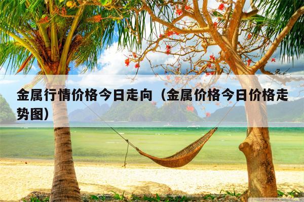 金属行情价格今日走向（金属价格今日价格走势图）