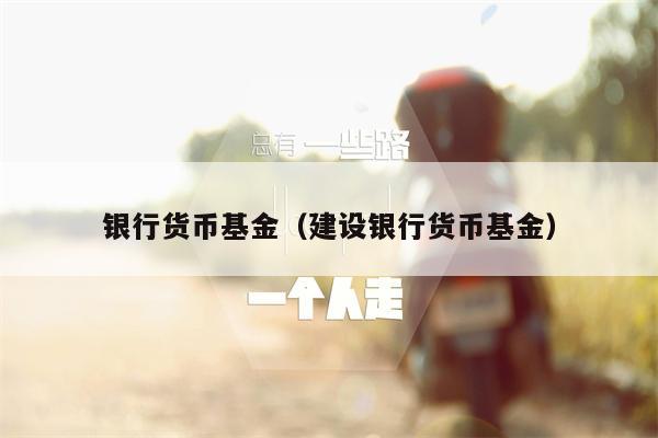 银行货币基金（建设银行货币基金）